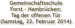 Gemeinschaftsschule  Forst - Hambrücken:  Tag der offenen Tür (Samstag, 22. Februar 2014)